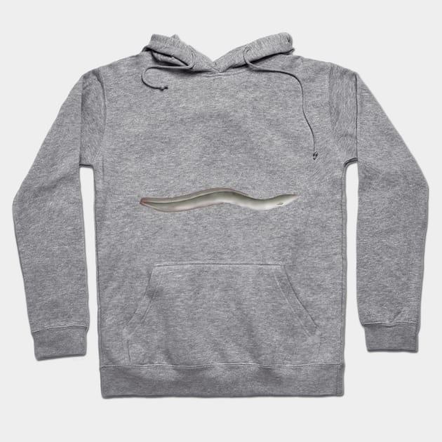 European Eel Hoodie by FishFolkArt